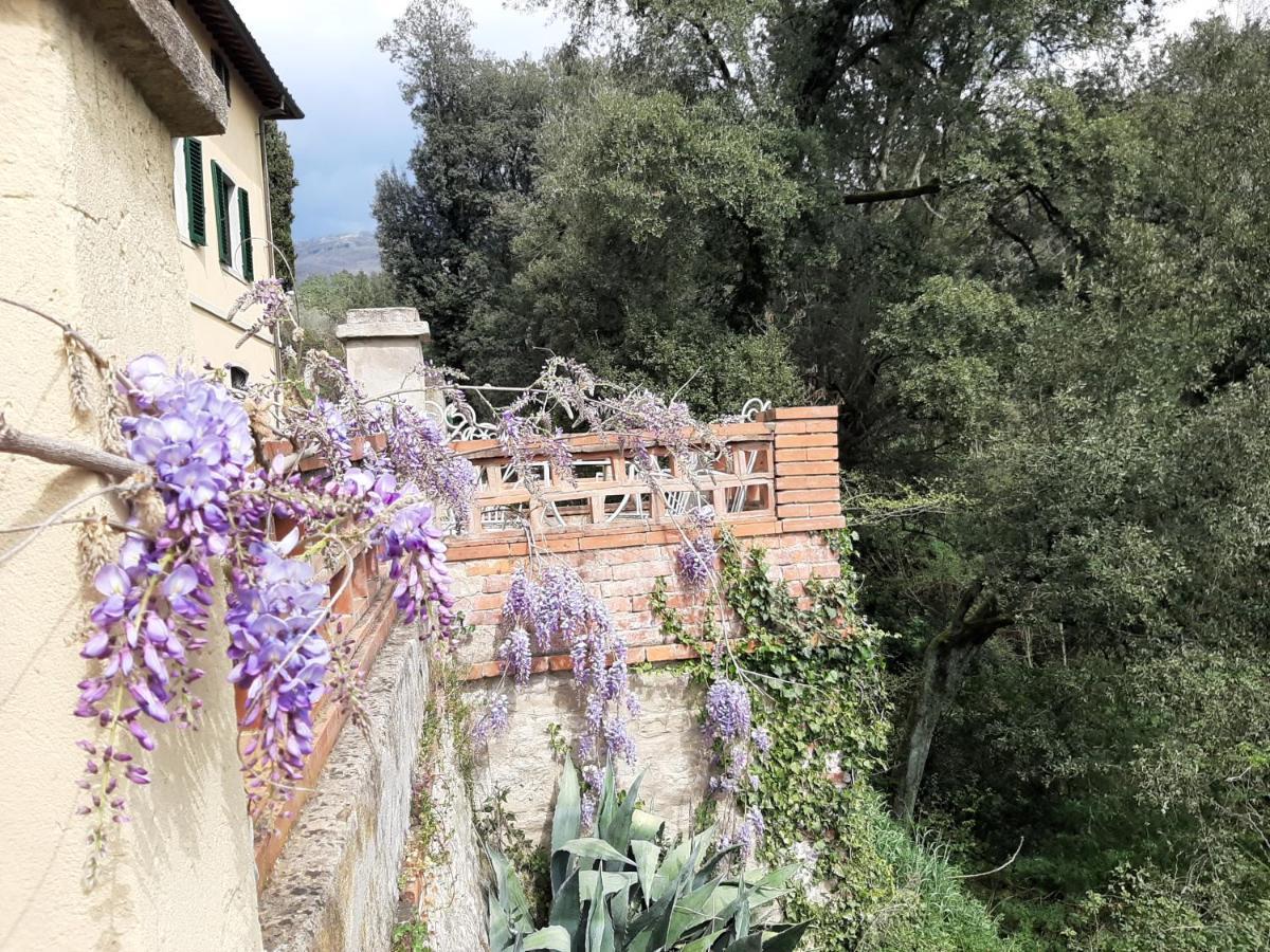 Villa Al Ponte Case Malva エクステリア 写真