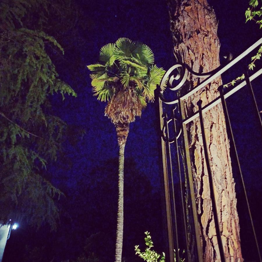 Villa Al Ponte Case Malva エクステリア 写真