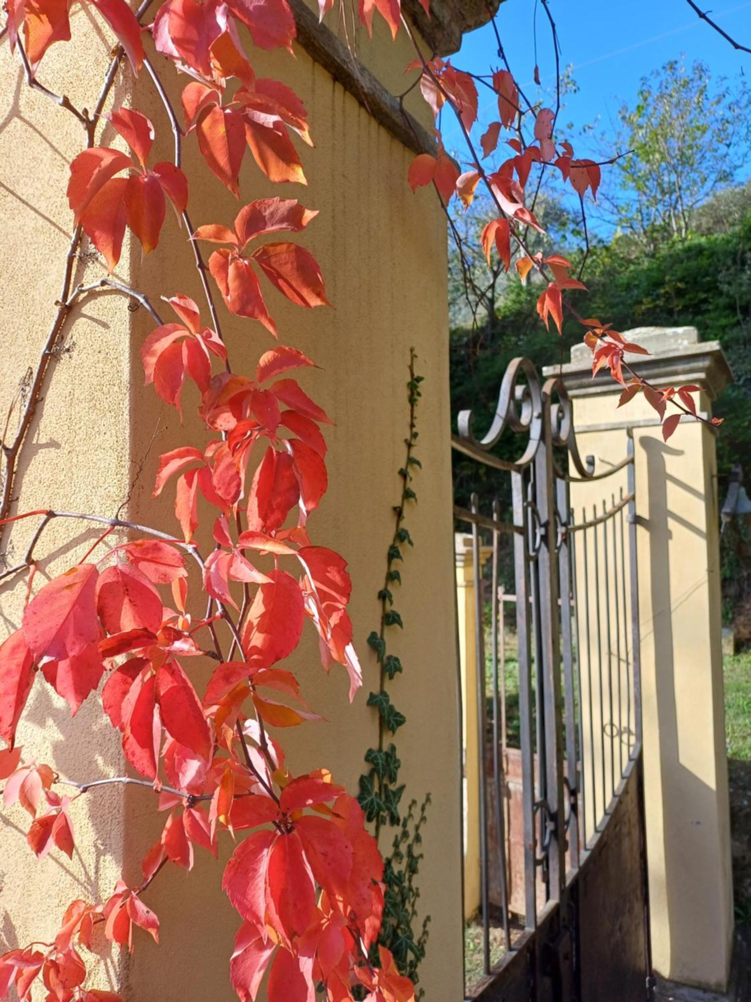 Villa Al Ponte Case Malva エクステリア 写真